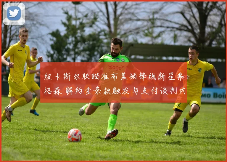 纽卡斯尔联瞄准布莱顿锋线新星弗格森 解约金条款触发与支付谈判内幕大起底