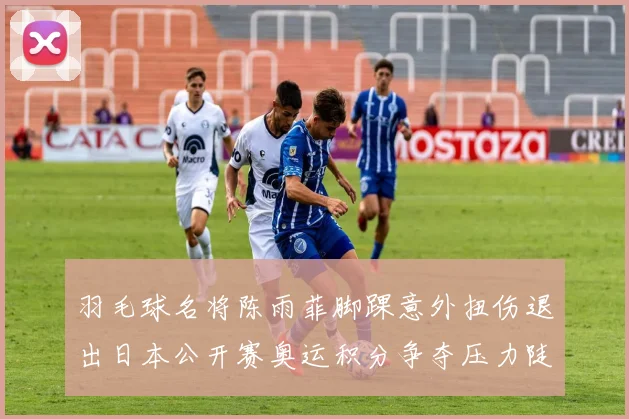 羽毛球名将陈雨菲脚踝意外扭伤退出日本公开赛奥运积分争夺压力陡增